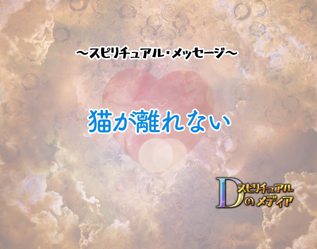 「猫が離れない」のスピリチュアル的な意味、象徴やメッセージ